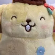 たぬきちの画像