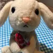 みかりんの画像