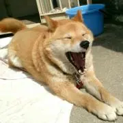 わき