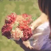 Y'sの画像