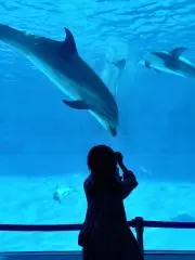 ふゆ【即購入OKです⭐】の画像