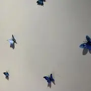 ◡̈
