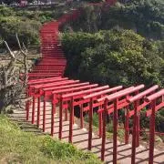 ひとりでできるもんの画像