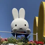 さっちゃんの画像