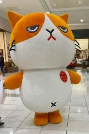 成功の画像