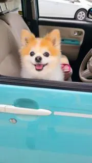 ミーの画像
