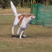 たーたんの画像