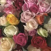 うーたんの画像