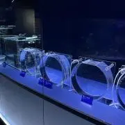 ツナ缶の画像