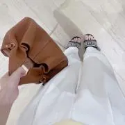 太鳳の画像