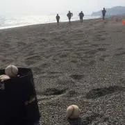 par