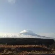 こへっしーの画像