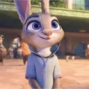 うさぎの画像