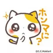 ここちゃん