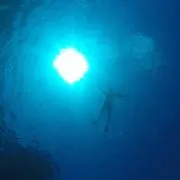 くるま