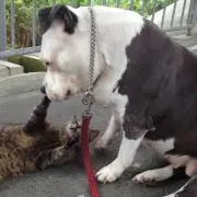 まぁ