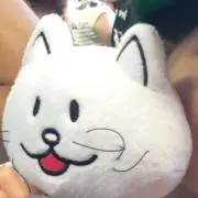 ６