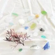 ゆうの画像
