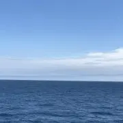 yahooの画像
