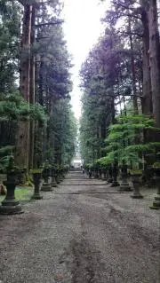 ぴょんちの画像