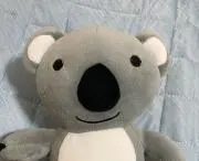 りーこちゃんの画像