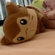 りんりんの画像