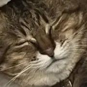 0meNの画像