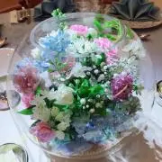 キラリ☆の画像