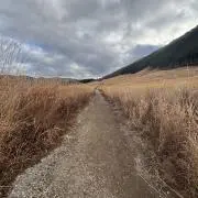 ズキンべルトの画像