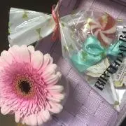 Nicoの画像