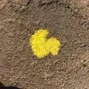 na 【即購入◎】の画像