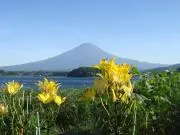 めりみつそーみれの画像