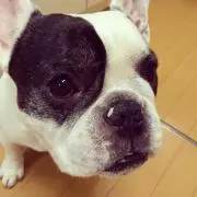 Kerryの画像