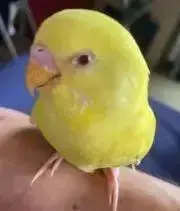 やすっくん！