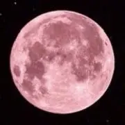 pinkmoon_