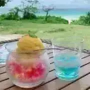 ぴこの画像