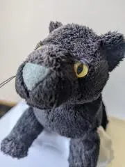 黒ひょうの画像
