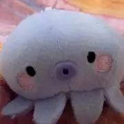 みくちぃの画像
