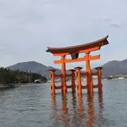 すてら　翌日発送の画像
