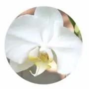 fufufuuの画像