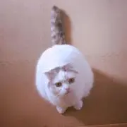Рассвета