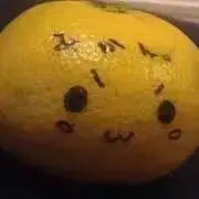 みかんの画像
