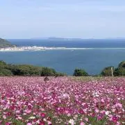 0670の画像