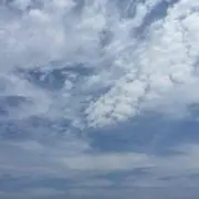 Yの画像