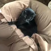 ひよちゃんmama