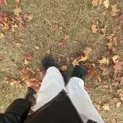 Yの画像
