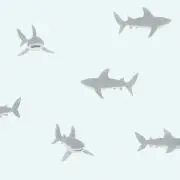 まー！の画像