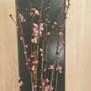 セール中‼️セール祭り999の画像