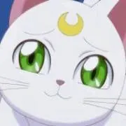 猫にゃんの画像
