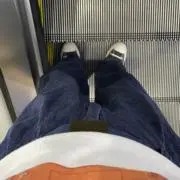 びび丸タートルズの画像